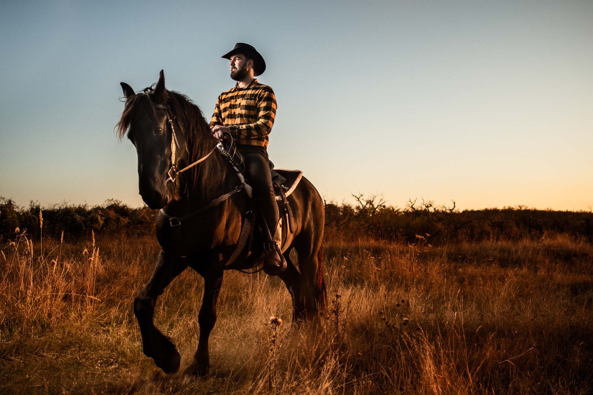 Reiter auf einem schwarzen Pferd auf der Weide bei Sonnenuntergang