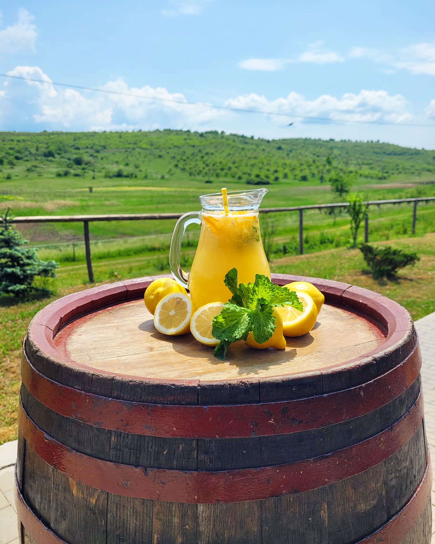 Hausgemachte Limonade auf einem Weinfass, mit dem Obstgarten im Hintergrund